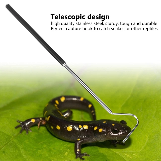 Gancio per serpente estensibile in acciaio inossidabile e gancio per rettile per Gancio per serpente estensibile in acciaio inossidabile e gancio per rettile per