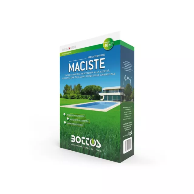 Maciste Bottos - 1Kg de graines pour gazon