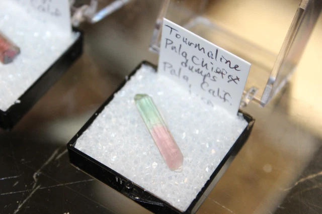 Tourmaline Crystal Pala Chief Mine Pala California TN Perky Box