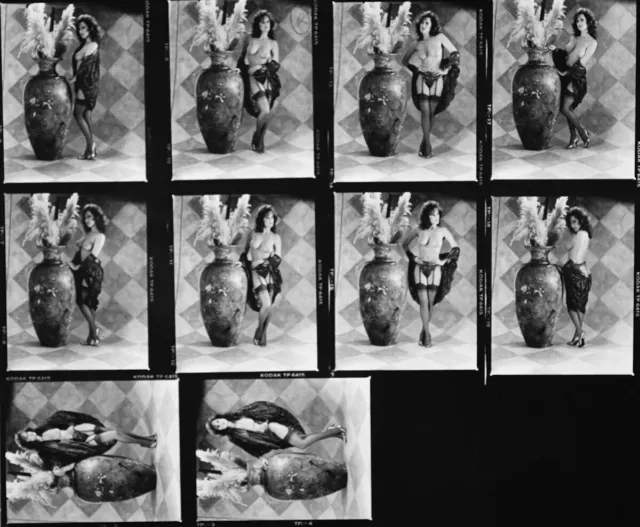 Nude Female Model Original Vintage 1980s Negative Proof Contact Sheet Photo 1.14