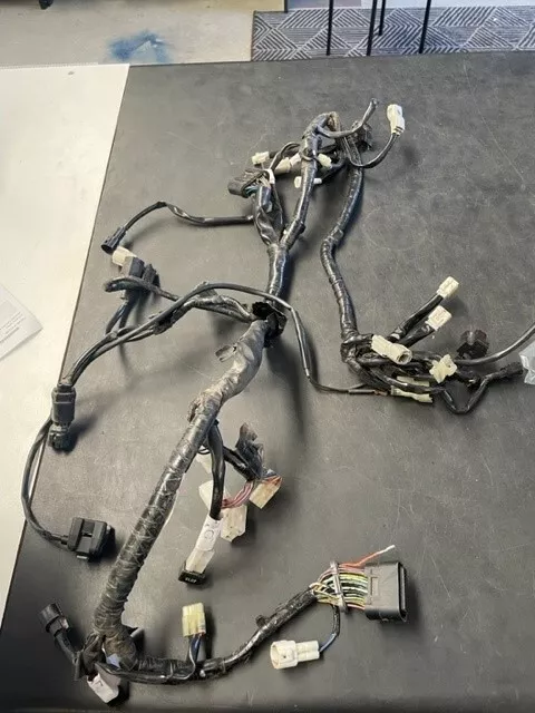 Wr 450 Wire Harness Assembly 1Dx8259000