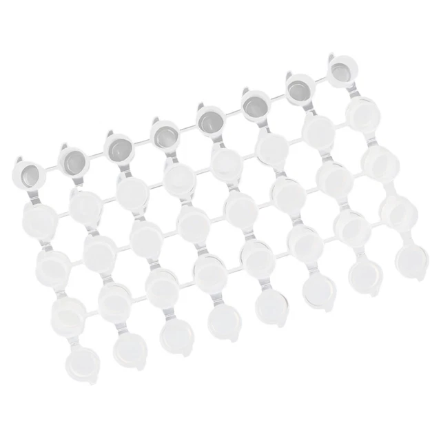 30 Vasetti Di Vernice Vuoti 5 Ml – Trasparenti Con Coperchi – Per Acquerelli, Pittura E Crafting