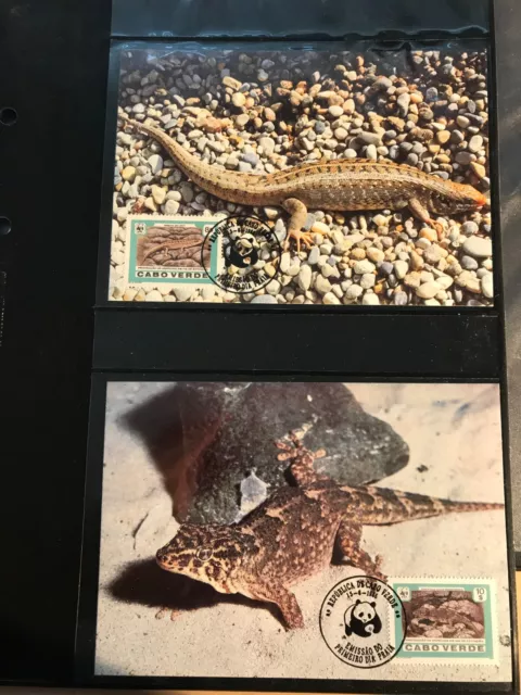 Kap Verde 1986 Satz WWF Geckos Skinke Echsen Reptilien Maximumkarten 2