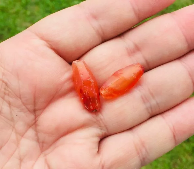 Set Of 2 Ancient Pyu Carnelian Beads #Au023