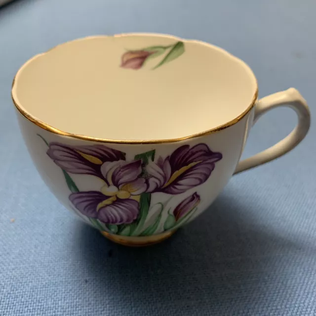 Duchess "Iris" Fine Bone China Tea Cup ONLY, Made In England