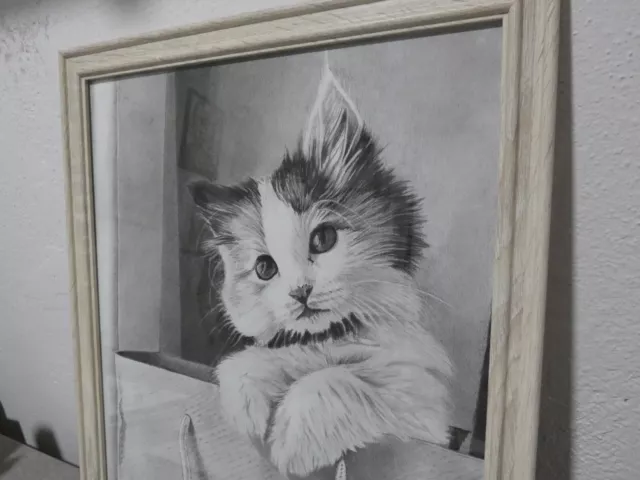 Ritratto gatto siamese - dipinto a mano -  arte, 34 x 43 carboncino
