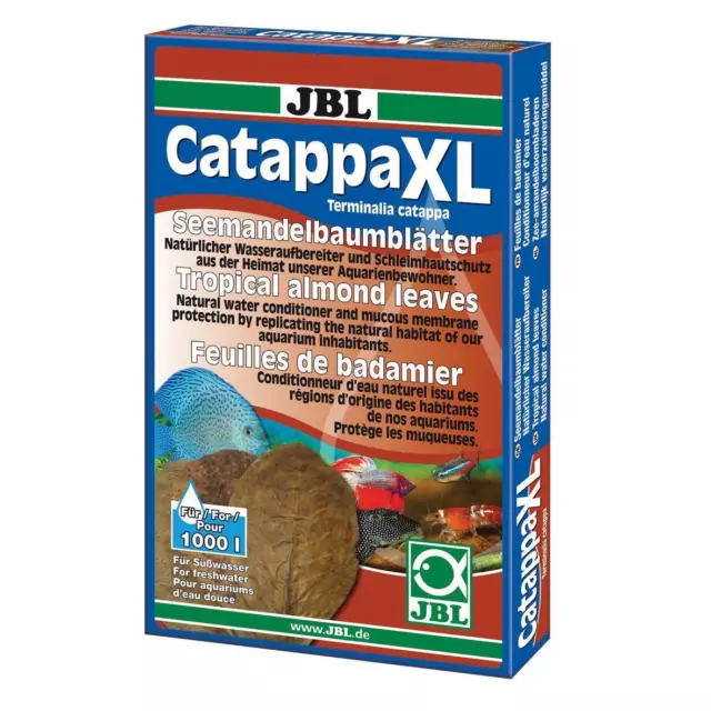 Catappa Feuilles D'Amandes de Mer D'Eau Vitalité Traitement De L'Eau 10/30/60 St