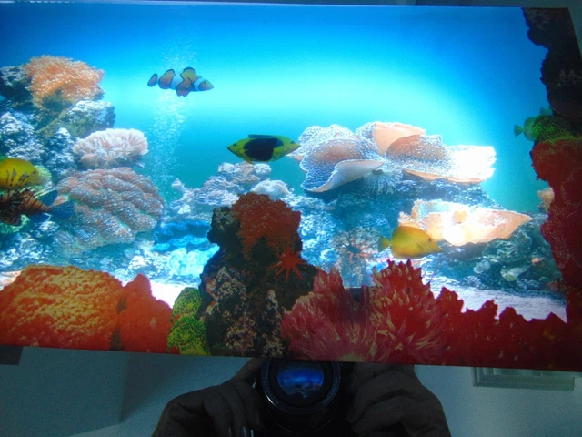 VTG Sound & Motion Aquarium Lamp Light Mirror Tropical Fish Seabed 19x11" Tested