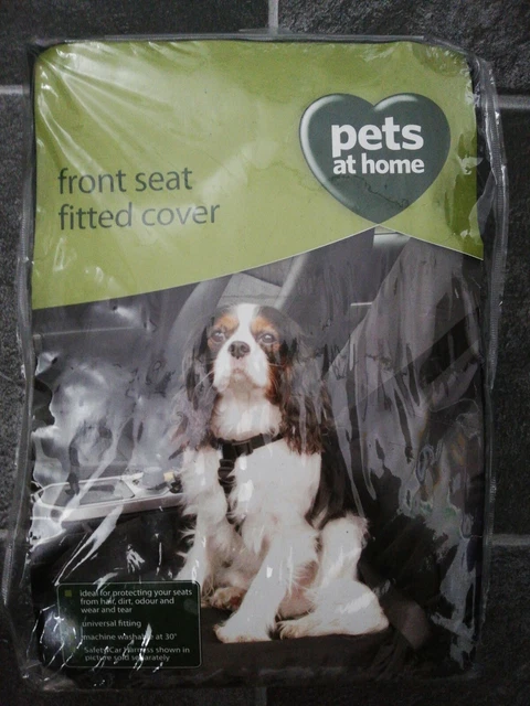 Pets at online home car seat