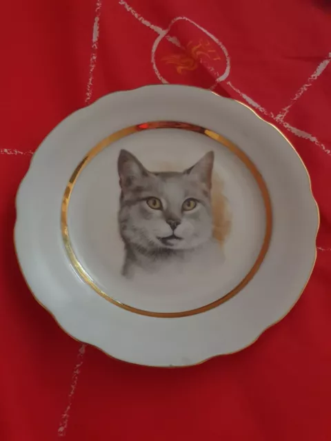 Vintage AJL Giftware Stoke On Trent Cat Small Pocelain Decorative Plate