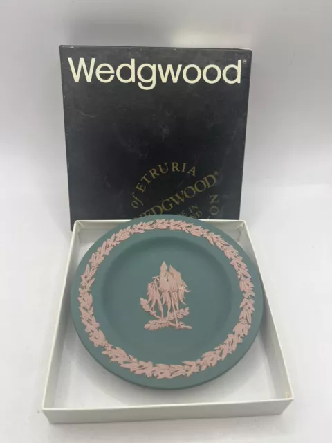 Wedgwood Pin Dish Pink On Teal  Jasper Ware Sturt Desert Pea Boxed Collectable
