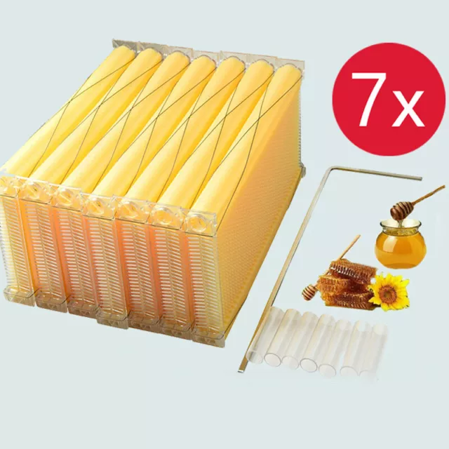 7 PCS AUTO Shed Honey Hive Beehive Frames for Brood Beekeeping Box House US