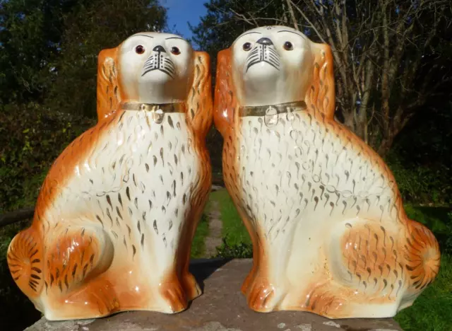 Large Antique Victorian Glass Eyed Wally Mantle Spaniel Dogs  .Sadler Burslem
