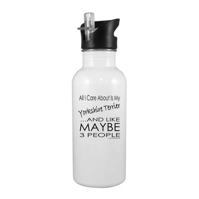 Stainless Steel Water Bottle 20oz Straw Dog All I care about Yorkshire Terrier