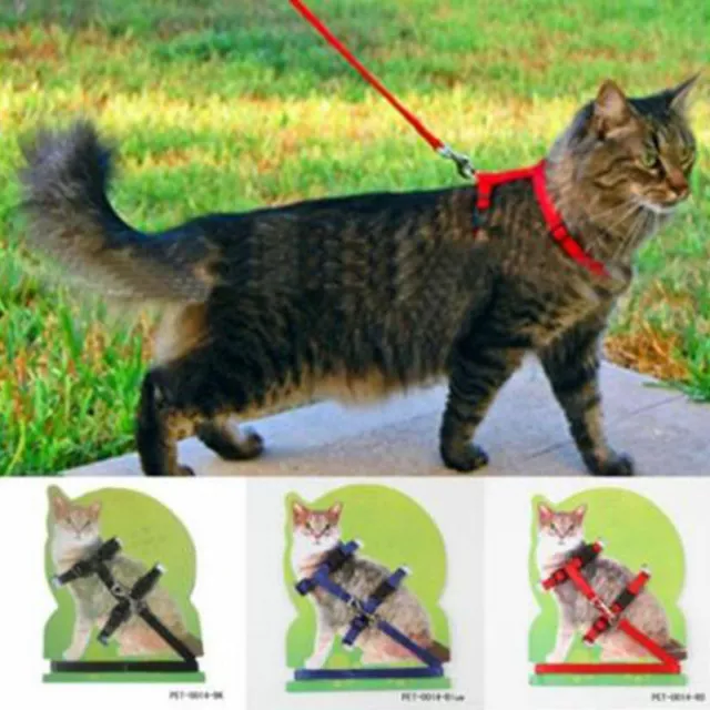 Pet Cat Kitten Adjustable Harness Collar Durable Animal Walking Lead Pet Rabbit