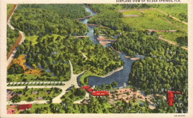 Silver Springs FL Florida, Airplane View,  Lake Resort Vintage Postcard 3363