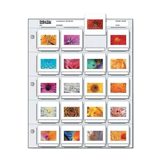 Print File 500265 Archival 35mm Slide Pages Pack of 100 #0500265