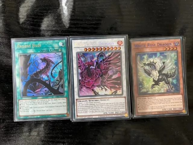 Yugioh Complete Black Rose Dragon Deck + Extr *Tournament Ready* **HOT** + Bonus