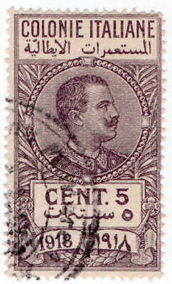 (I.B) Italy (Libya) Revenue : Duty Stamp 5c (1918)