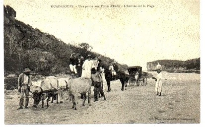 Guadeloupe - CPA Pointe A Pitre Guadeloupe, L'Eglise St. Pierre Et St Paul Church 2203353994