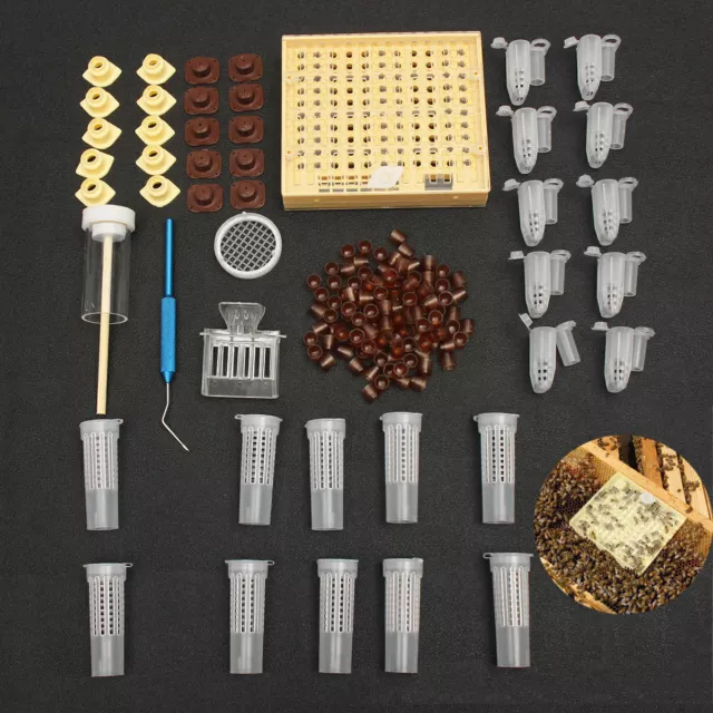 155pcs Imkerei Komplettsystem Königinnenzucht Zucht Queen Beekeeping KIT