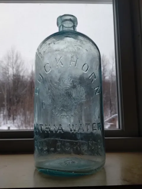 Buckthorn Lithia Water / Bullock, N.C. Bottle 10" Tall