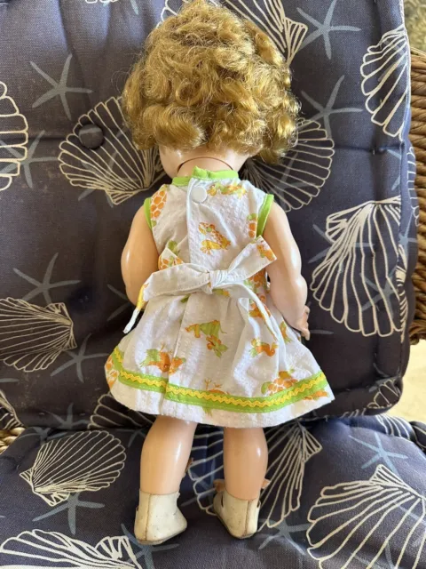 1950's Pedigree Delite Doll Toddler 16” 3