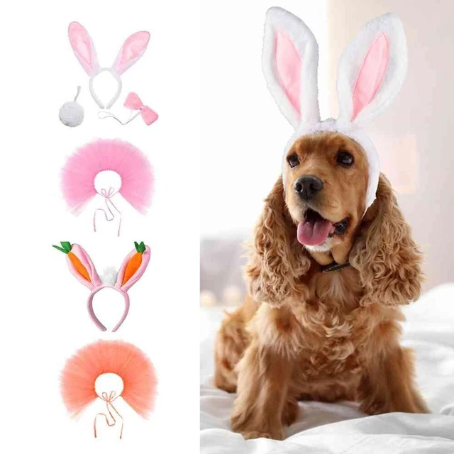 Chapeau Bandeau d'oreille de lapin pour animaux de compagnie Chien Couvre-chef