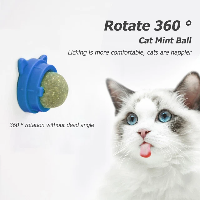 Bola giratoria de menta para gato, bolas naturales para gatos, molares-menta para gatos-Sn