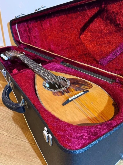 Calace No.24 マンドラ イタリア手工製 カラーチェ No24 マンドリン