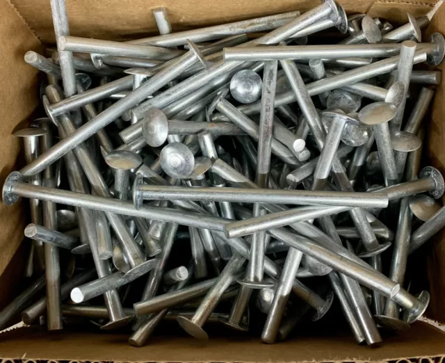 (10) 1/4" x 4" Solid Rivet Truss Head Wide Long Steel Zinc Blacksmith 1/4 x 4