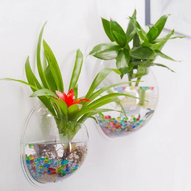 Clear Wall Mounted Fish Bowl Aquarium Plant Tank Beta Goldfish Hanger Decoration 3