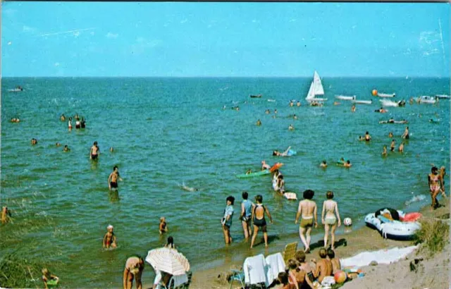 Postcard BEACH SCENE Between Caseville & Port Austin Michigan MI AO1156