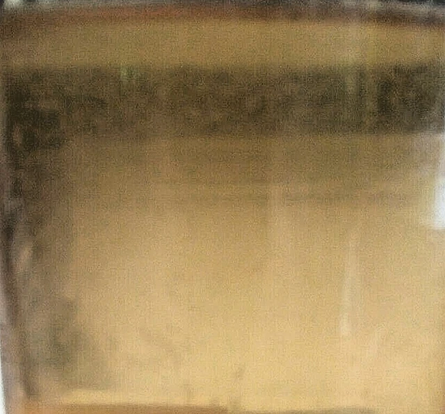 2 OZ LIVE VINEGAR EEL CULTURE Turbatrix Aceti Starter Fry Food Guppy Betta B2G1 3