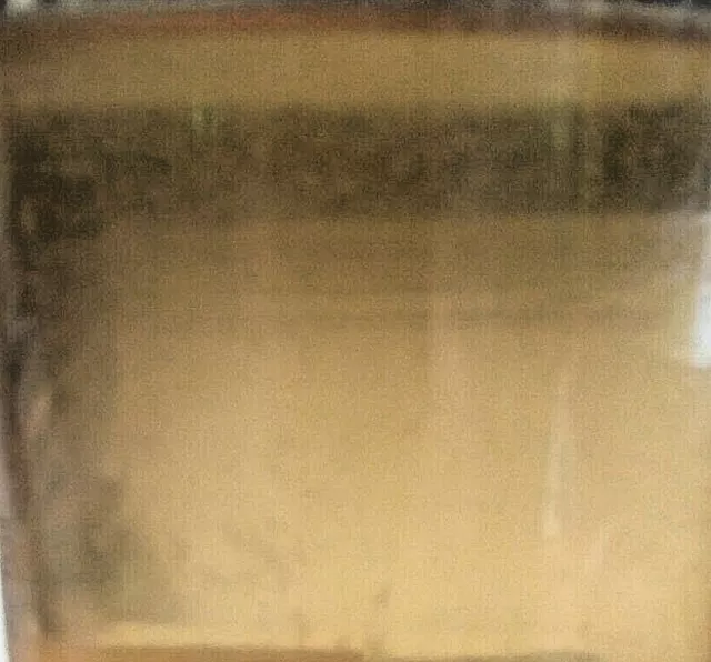 4 OZ LIVE VINEGAR EEL CULTURE Turbatrix Aceti Starter Fry Food Guppy Betta B2G1 3