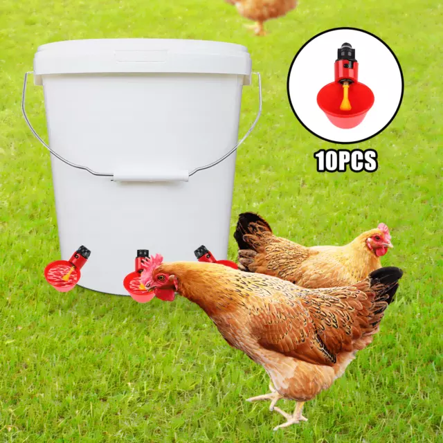 10 PCS Automatic Water Cups Poultry Drinker Waterer Chicken Duck Quail Drinking