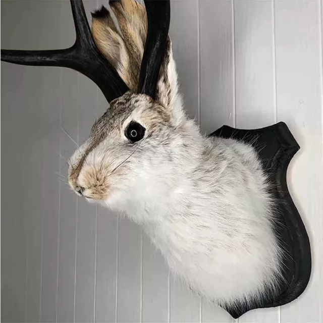 Taxidermy, Animal Head Wall Decor, Deer Head Wall Mount,Animal Wall Mount Decor