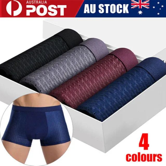 4Pack Mens Bamboo Soft Wear Underwear Shorts Summer Ice Silk Mesh Boxer Briefs