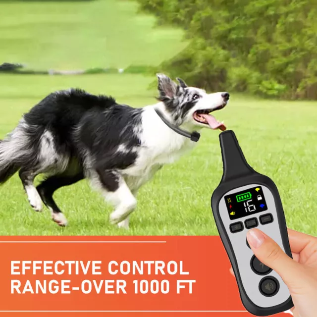 Collier de choc électrique à distance PET Dog Training anti - aboiement charge 3