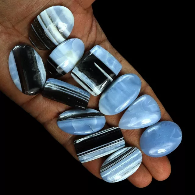 442 Karat / 13 PC Natürlich Australischer Blau Opal Mix Cabochon Edelstein