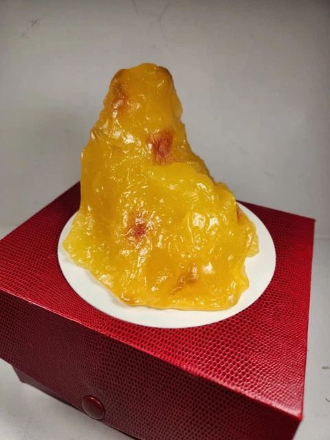 Life Form by Nasco One 1 Pound Of Fat Replica on Base Display Box Medical Visual