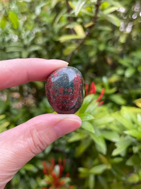 Bloodstone Tumbled Stones, 0.75-1 Inch Tumbled Bloodstone Stone, Pick How Many