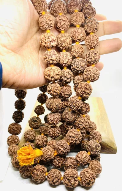 18 Mm Nepalese Collector 5 Five Mukhi 108 Mala Beads Rudraksha Kantha Rudraksh