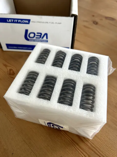 LOBA Ovate Wire Valve Spring Kit for 2.0 TFI Audi engine