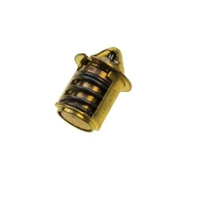 ZIP NRG Dna TERMOSTATO PIAGGIO LC 50 motore Gilera Runner 