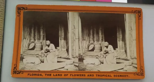 Aunt Venus Hunting for Florida Fleas African American Black Am. Stereoview Photo