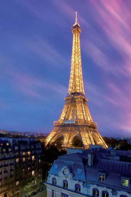 Eiffel Tower at Dusk Poster! Beauty Lights France Paris Blue sky Staple Piece!!!