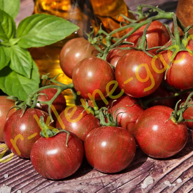 PURPLE BUMBLEBEE CHERRY-TOMATE TOMATEN TOMATENSAMEN SAFTIG SÜß & LECKER 10 SAMEN