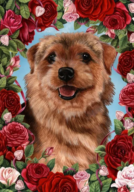 Roses House Flag - Grizzle Norfolk Terrier
