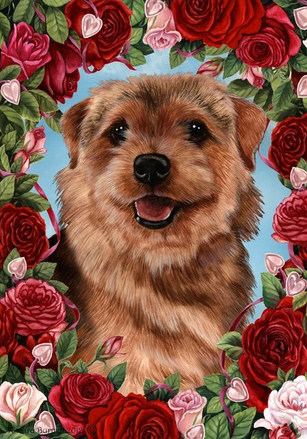 Roses House Flag - Grizzle Norfolk Terrier